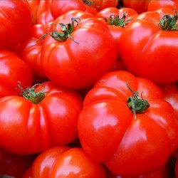 Tomates (1 kg)